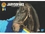 Vykort-Postcard-FDC Jrvsfaks
