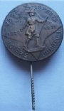 Pins-N�lm�rken-Medaljer Vasaloppet 1922-1931 10-&aring;rs Jubileum