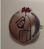 Pins-N�lm�rken-Medaljer Pins Ishockey VM 1973
