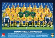 Sportboken - Svenska fotbollslandslaget