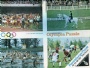 Diverse-Miscellaneous Olympia Pussel