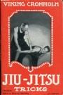 Kampsport-Budo Jiu-Jitsu tricks
