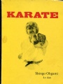 Kampsport-Budo Introduktion till Karate 