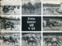 H�stsport-Travsport &Aring;rj&auml;ngstravet 1936-1986  Fr&aring;n istrav till V 65   