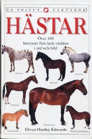 Sportboken - Hstar